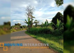 lot for sale in san carlos city