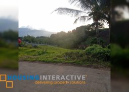 lot for sale in salvador benedicto neg occ.