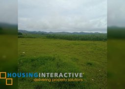 lot for sale in don salvador benedicto neg. occ