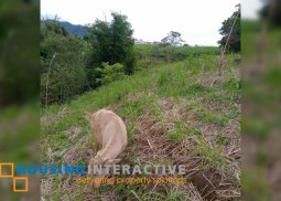 lot for sale in don salvador benedicto neg. occ