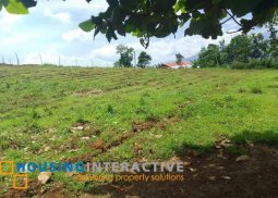 lot for sale in don salvador benedicto neg. occ