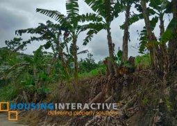 farm lot for sale in don salvador benedicto neg. occ