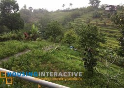 house/lot for sale in don salvador benedicto neg.occ