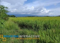 lot for sale in murcia neg.occ