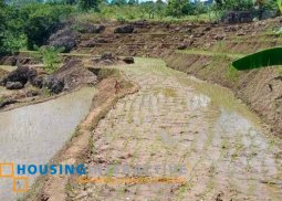 farm lot for sale in san carlos city neg.occ