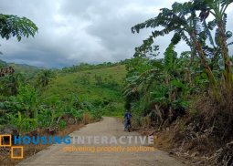 farm lot for sale in don salvador benedicto neg. occ