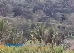 farm lot for sale in san carlos city neg.occ