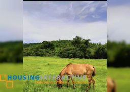 lot for sale in antipolo