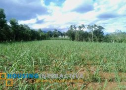 farm lot for sale in san carlos, negros occ.