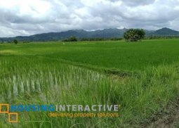 lot for sale in dancalan neg.occ