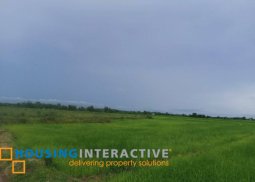 lot for sale in murcia neg.occ