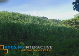 lot for sale in prosperidad san carlos city