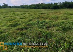 lot for sale in pulupandan neg.occ