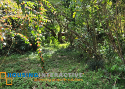 for sale: residential lot in ayala westgrove heights