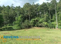 farm lot for sale in don salvador benedicto neg.occ