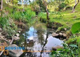 farm lot for sale in san carlos city, negros occ