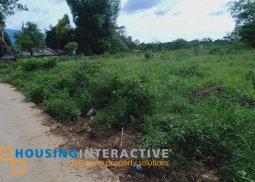 lot for sale in don salvador benedicto, negros occ.