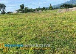 lot for sale in don salvador benedicto, negros occidental