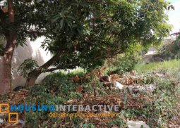 lot for sale in las pinas city