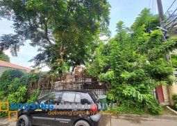 lot for sale in las pinas city