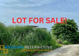 lot for sale in bacolod city