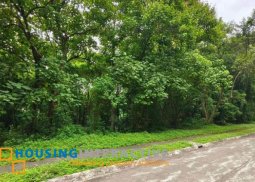 lot for sale in havila township in angono, rizal