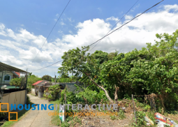 lot for sale in san pablo city