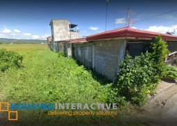 house for sale in pagsanjan laguna