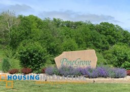 house and lot for sale  in pine grove subdivision negros occidental