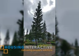 lot for sale tanauan city,  batangas