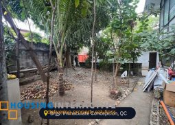 lot with ancestral house for sale in quezon city