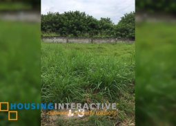 lot for sale in bacoor, cavite