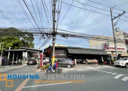 commercial lot for sale in bf homes