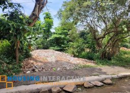 lot for sale in pines city executive village, antipolo