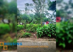 lot for sale in pines city executive subd antipolo city
