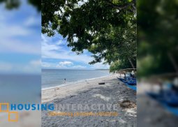 lot from the beach for sale in dumaguete city