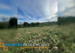 overlooking lot for sale in dumaguete city