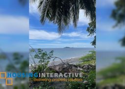beach front lot for sale in negros oriental
