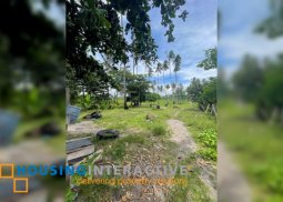 lot for sale in negros oriental