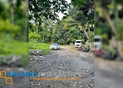 lot for sale in negros oriental