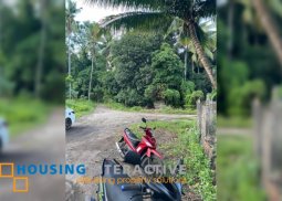 lot for sale in negros oriental