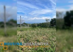lot for sale in negros riental