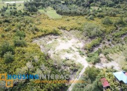 lot for sale in negros oriental