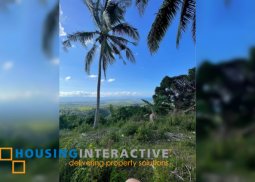 lot for sale in negros oriental