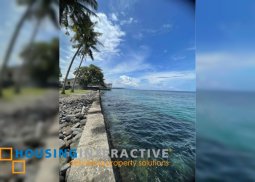 lot for sale in negros oriental