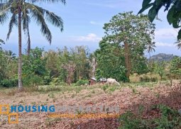 lot for sale in timbao, bacong negros oriental