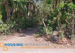 lot for sale in negros oriental