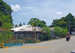 lot for sale in negros oriental
