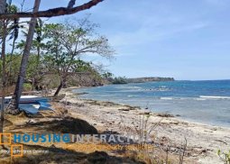 lot for sale in negros oriental