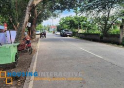 lot for sale in negros oriental